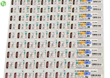 WDDM 1.0 1GB 32bit Computer Ram Memory , Windows COA License Sticker