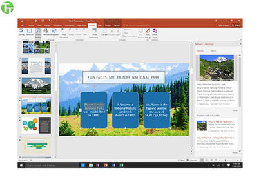 Microsoft Home & Business Office 2016 Professional Plus USB Retail Version