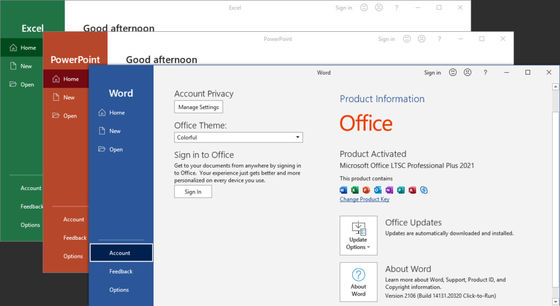 Microsoft Office 2021 Pro Plus , Lifetime License for Windows & Mac