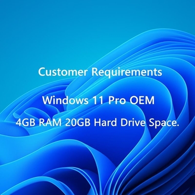 顧客要件 Windows 11 Pro OEM 4GB RAM 20GB ハードドライブ容量