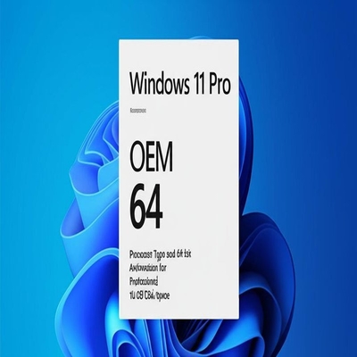 Windows 11 Pro OEM X86 64 プロセッサの種類とプロフェッショナル向け64ビットアーキテクチャ、16 GBディスク容量