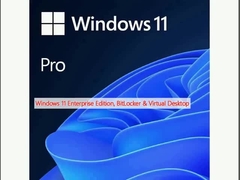 Windows 11 エンタープライズ エディション,BitLocker & 仮想デスクトップ