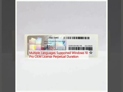 多言語サポート Windows 10 Pro OEM ライセンス 永久使用期間